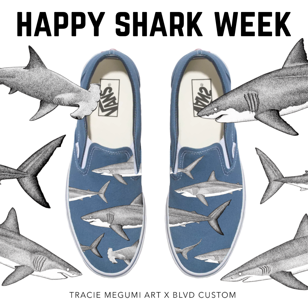 Happy Shark Week - Sharkie Sneakers and Resources